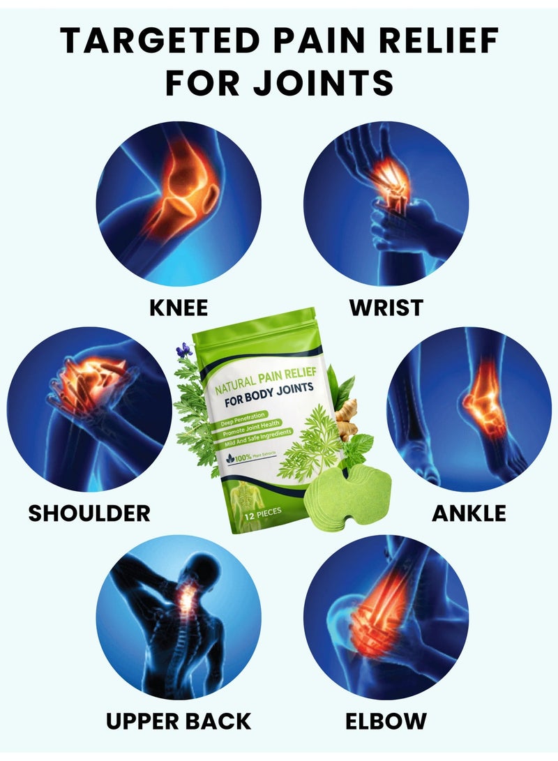 AL ARAS Natural Pain Relief Patch for Body Joints | Herbal Comfort Patch for Back, Knee, Shoulder & Muscle Support | Easy Apply, Skin-Friendly (3 Pack of 12 patches) - Image 2